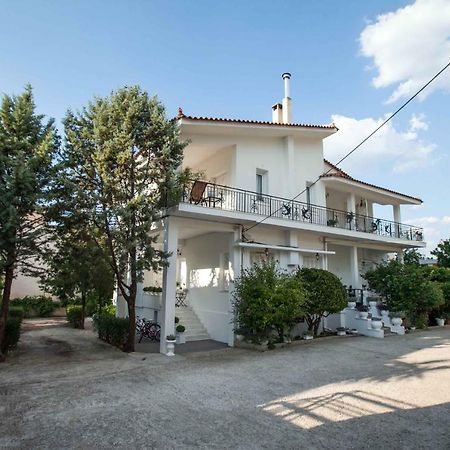 All You Need Is Nafplio Apartment Bagian luar foto